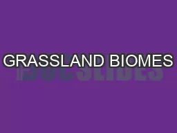 GRASSLAND BIOMES