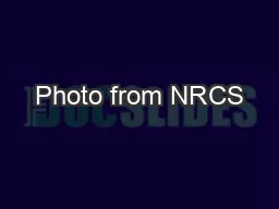 Photo from NRCS