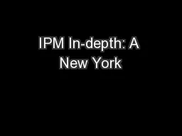 IPM In-depth: A New York