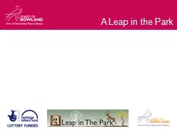 A Leap in the Park
