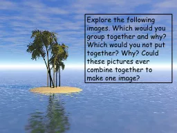 Explore the following images. Which would you group togethe