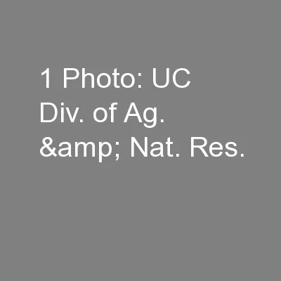 1 Photo: UC Div. of Ag. & Nat. Res.