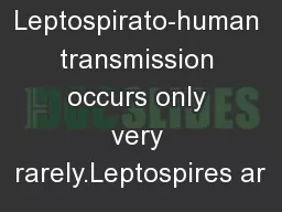 Leptospirato-human transmission occurs only very rarely.Leptospires ar