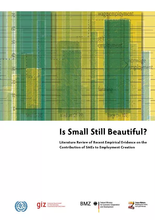 Is Small Still Beautiful?Literature Review of Recent Empirical Evidenc