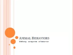 Animal Behaviors
