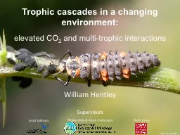 Trophic cascades in a changing environment: