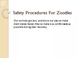 Safety Procedures For Zoodles