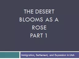 The Desert Blooms as a