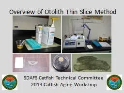 Overview of Otolith Thin Slice Method