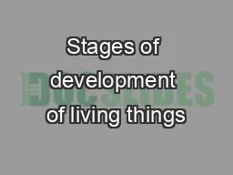 Stages of development of living things