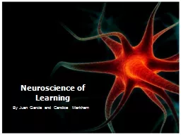 Neuroscience of Learning