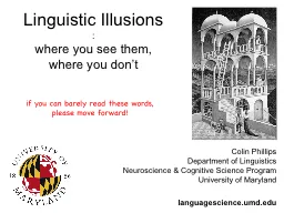 Linguistic Illusions