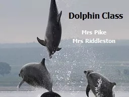 Dolphin Class