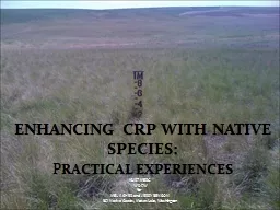 Enhancing CRP With Native Species: