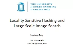 Locality Sensitive Hashing and Large Scale Image Search