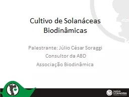 Cultivo de Solanáceas Biodinâmicas