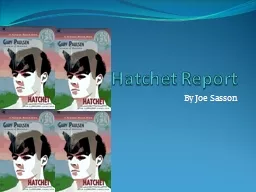 Hatchet Report