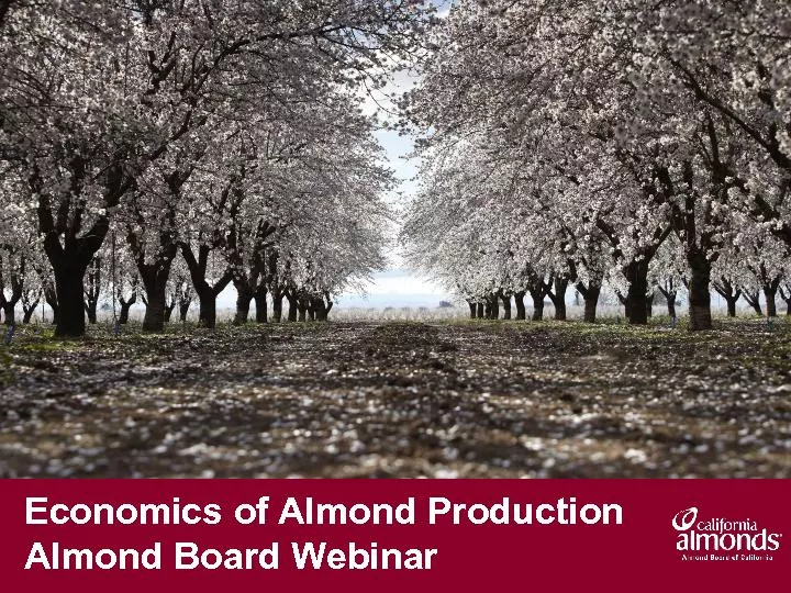 Economics of Almond Production