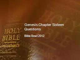 Genesis Chapter Sixteen Questions