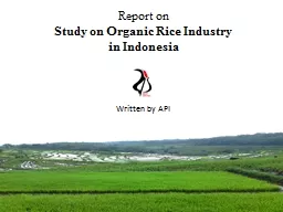 Report on