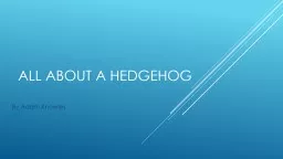 All about a hedgehog