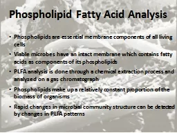 Phospholipid Fatty Acid Analysis