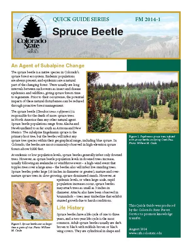 This Quick Guide was produced by the Colorado State Forest Service to