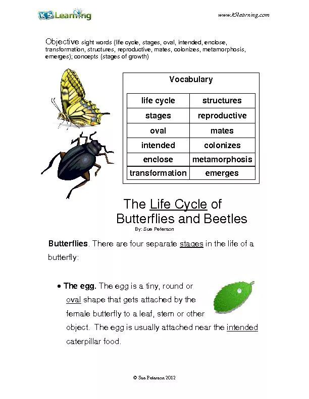 PDF Objective sight words life cycle, stages, oval, intended, enclose