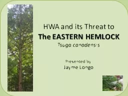 HWA and its Threat to