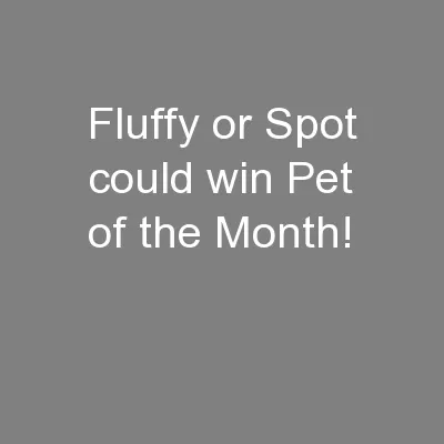 Fluffy or Spot could win Pet of the Month!