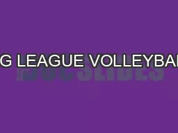 BIG LEAGUE VOLLEYBALL