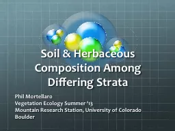 Soil & Herbaceous Composition Among Differing Strata