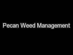 Pecan Weed Management