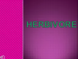 Herbivore