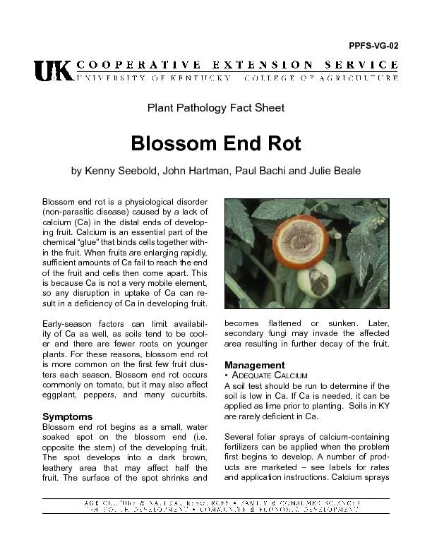 Blossom end rot is a physiological disorder