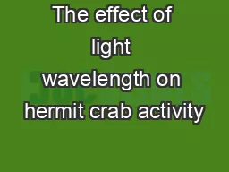 The effect of light wavelength on hermit crab activity