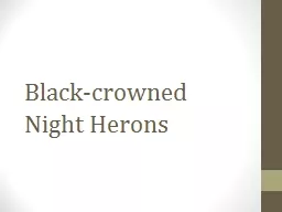 Black-crowned