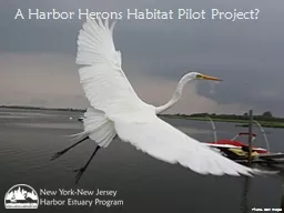 A Harbor Herons Habitat Pilot Project?