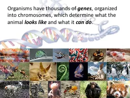 Organisms have thousands of