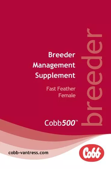 Cobb 500 FF Breeder Management Supplement