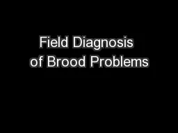 Field Diagnosis of Brood Problems
