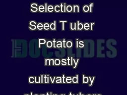 Potato Prop ogati on Selection of Seed T uber Potato is mostly cultivated by planting