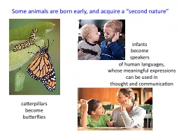 Some animals are born early, and acquire a “second nature