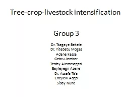 Tree-crop-livestock intensification