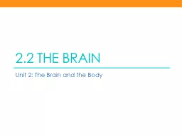 2.2 The Brain