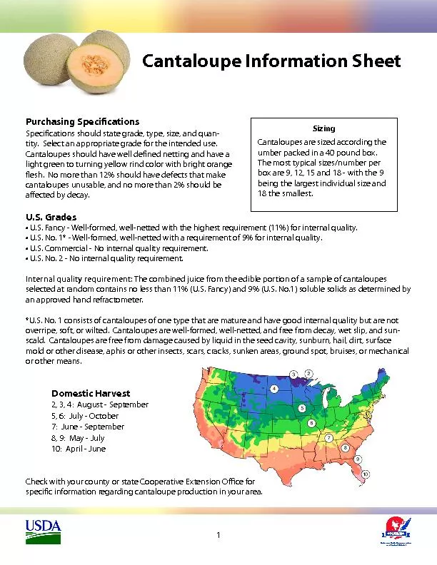 Cantaloupe Information Sheet