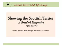 Scottish Terrier Club Of Chicago