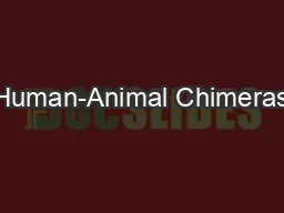 Human-Animal Chimeras