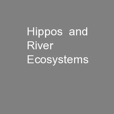 Hippos  and River Ecosystems