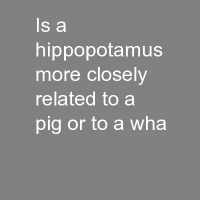 Is a hippopotamus more closely related to a pig or to a wha